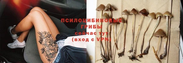 Альфа ПВП Корсаков