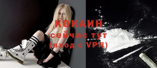 ГАЛЛЮЦИНОГЕННЫЕ ГРИБЫ Коряжма