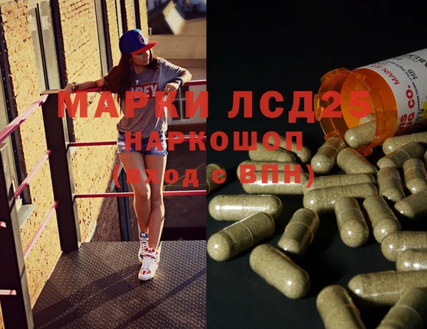 ГАЛЛЮЦИНОГЕННЫЕ ГРИБЫ Коряжма