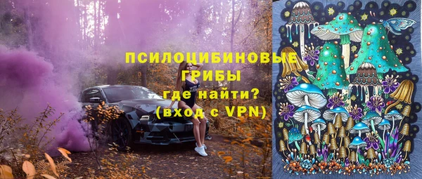 Альфа ПВП Корсаков