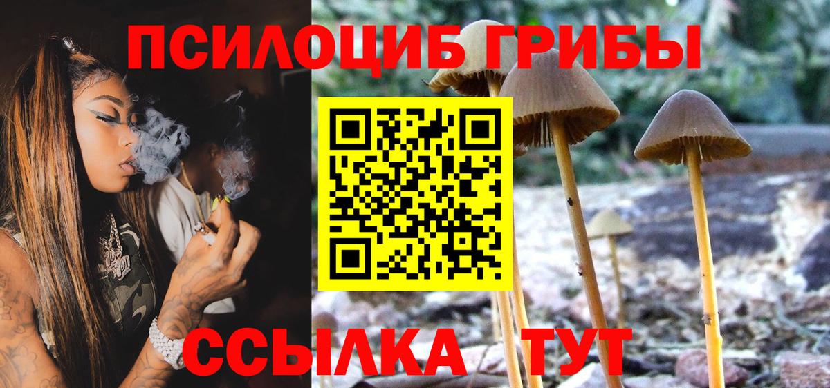 Псилоцибиновые грибы Magic Shrooms  Реутов  Псилоцибиновые грибы Psilocybine cubensis 