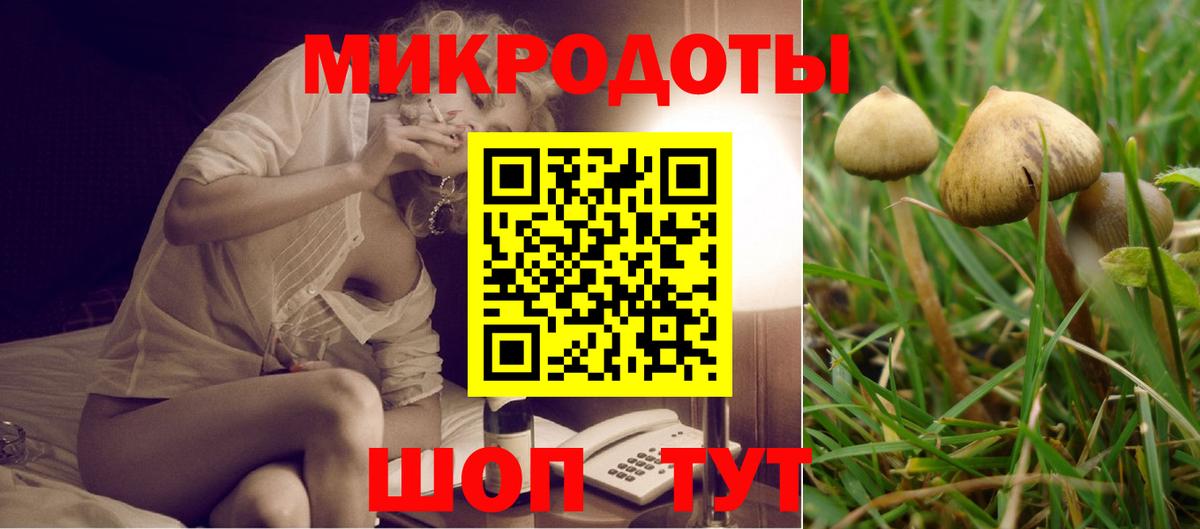 Галлюциногенные грибы MAGIC MUSHROOMS  Вход с VPN  Реутов 