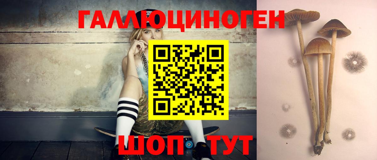 Псилоцибиновые грибы MAGIC MUSHROOMS Реутов